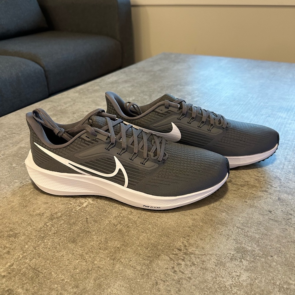Nike air zoom Pegasus 39 TB